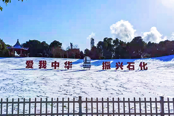 67381顶级游戏·(中国区)官方网站